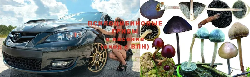 Псилоцибиновые грибы MAGIC MUSHROOMS  Петровск 